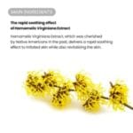 Best Radiant Glow Face Serum in Pakistan