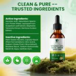 Best Faical Serum with Vitamin C