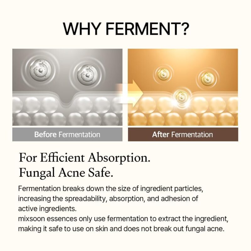 Best Mixsoon Bean Essence Serum