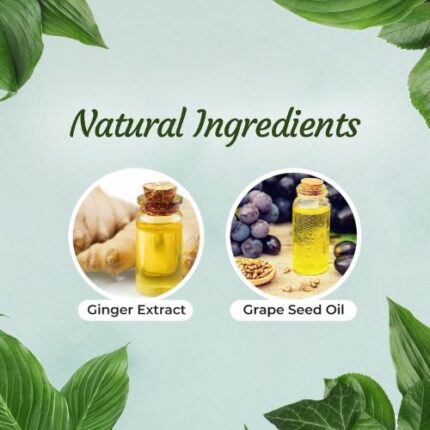 https://darazserum.com/product/ginger-oil-for-hair-growth/