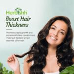 https://darazserum.com/product/ginger-oil-for-hair-growth/